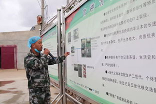 科技賦能，服務(wù)引領(lǐng) 技術(shù)推廣在脫貧攻堅(jiān)與農(nóng)民增收中的核心作用